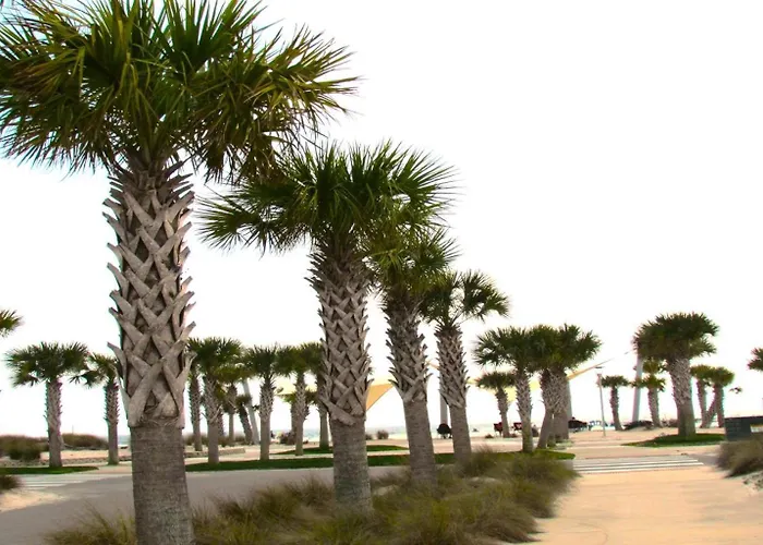 Apartment South Winds 2-updated Condo-beach Views-walk To Hangout-free Parking